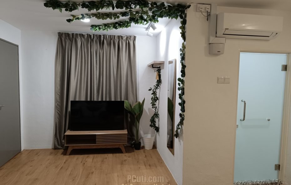205 Rainforest